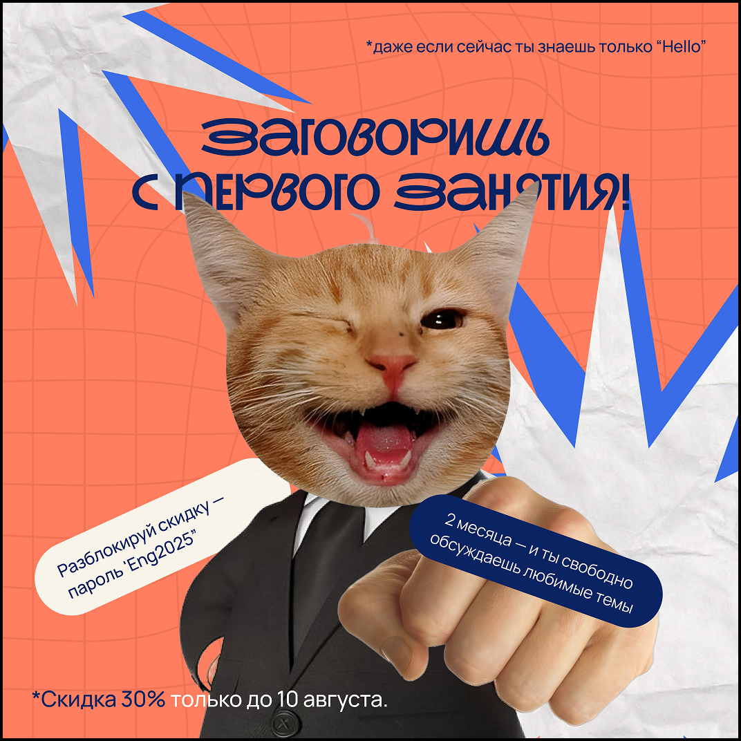 Instagram post с котом